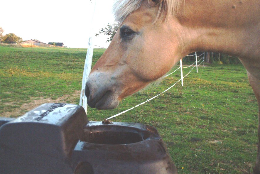 Neužšąlanti girdykla THERMOLAC 75B - Image 3