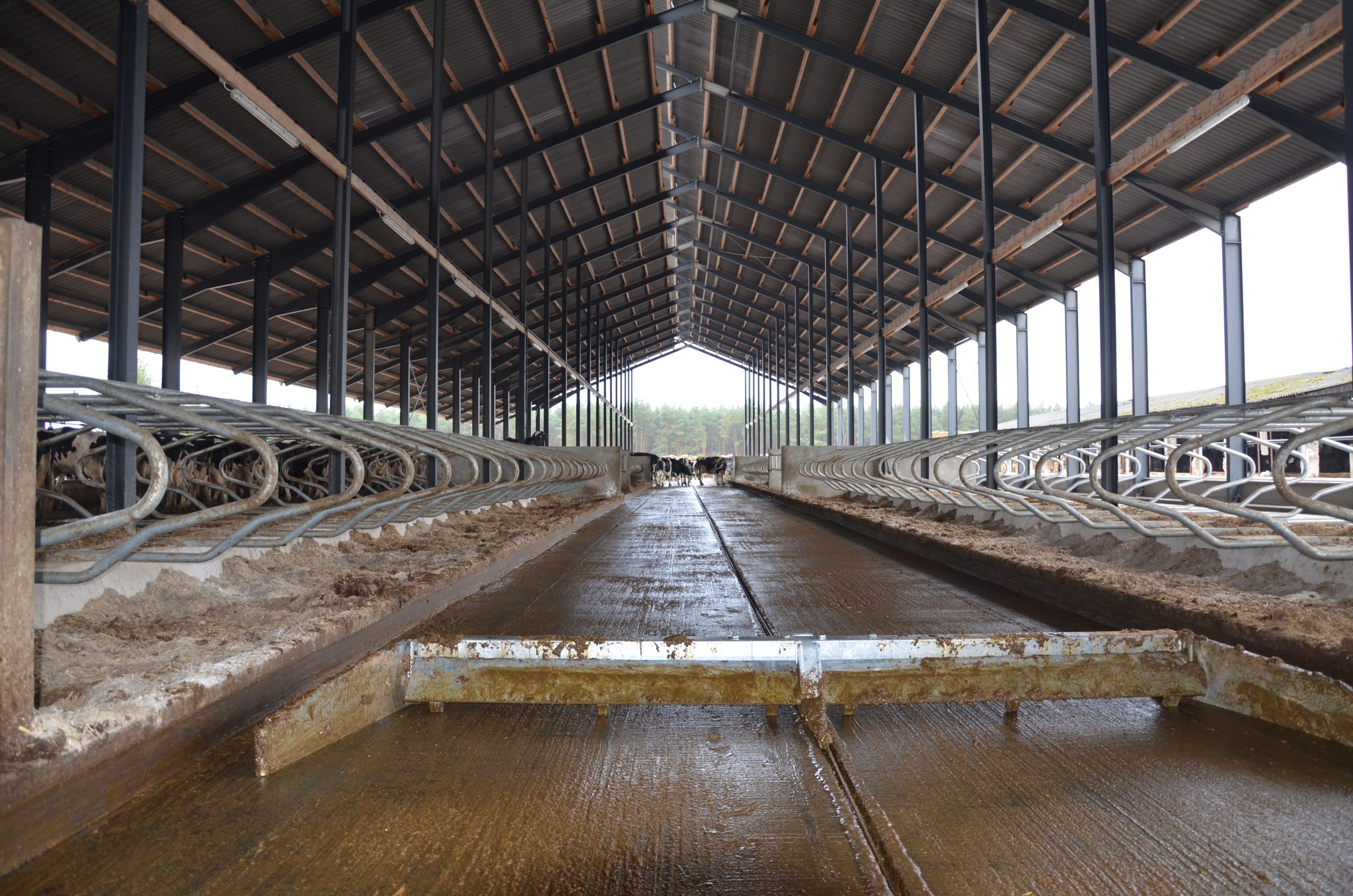 Mėšlo šalinimo skreperis - Image 3