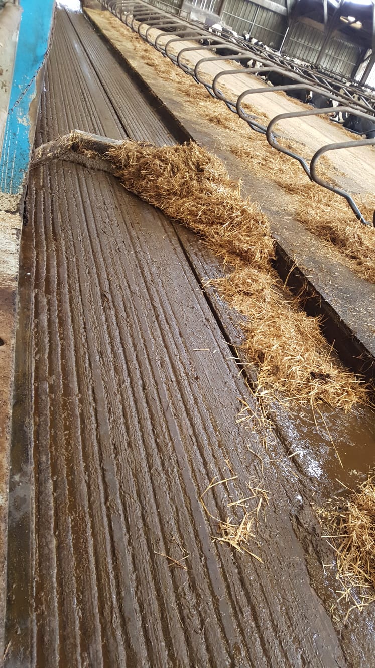 Mėšlo šalinimo skreperis - Image 6