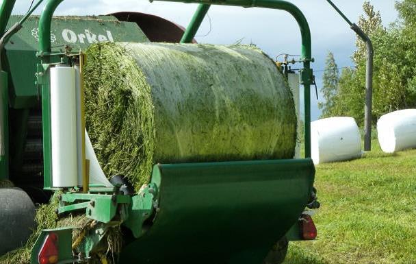 Šienainio plėvelė - Image 2