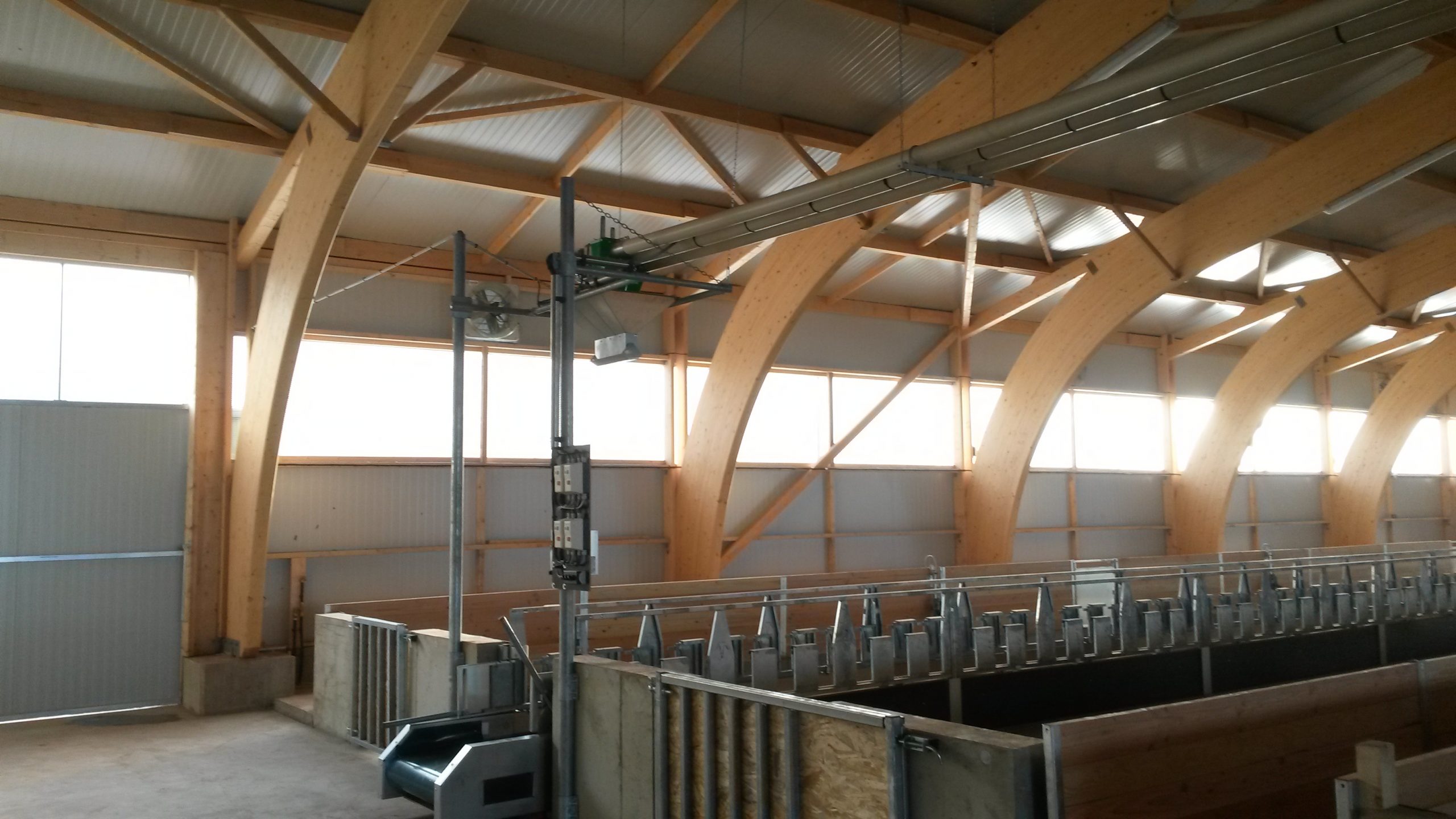 Diržinis šėrimo transporteris avims - Image 4