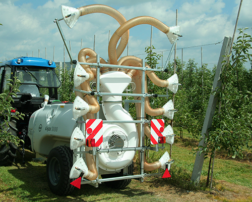 1oktopus