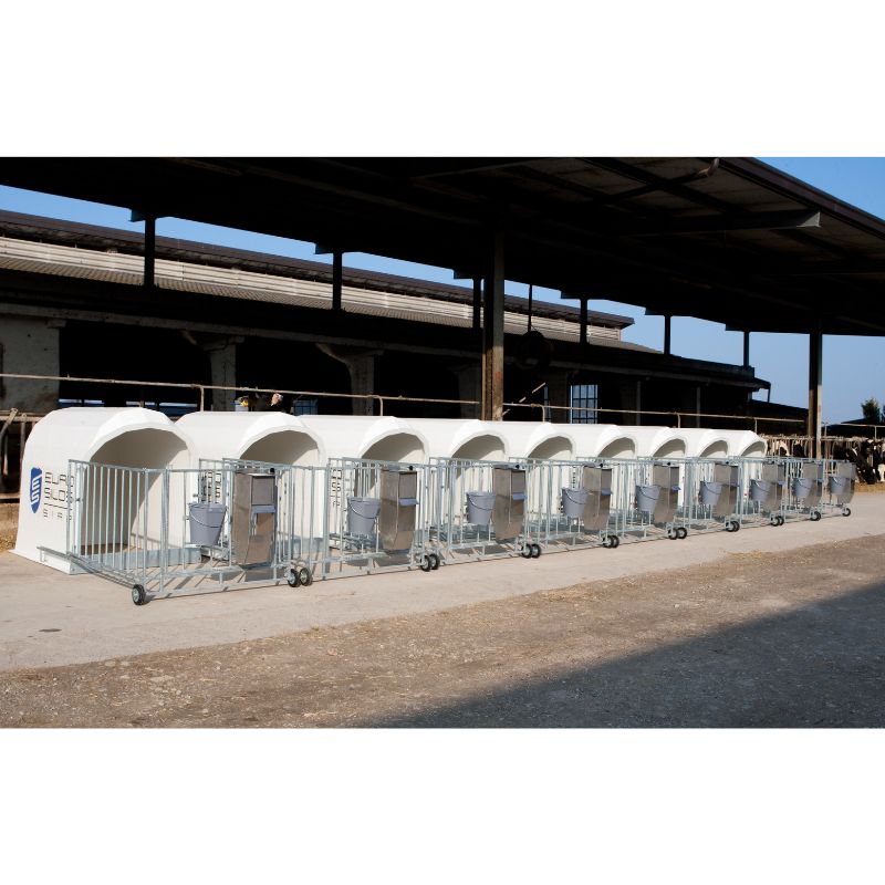 Stiklo pluošto veršelių nameliai - Image 4