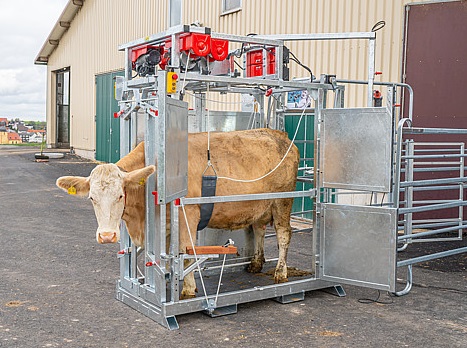 Staklės galvijams su kanopų priežiūra MARECHALLE PM 4600 - Image 4