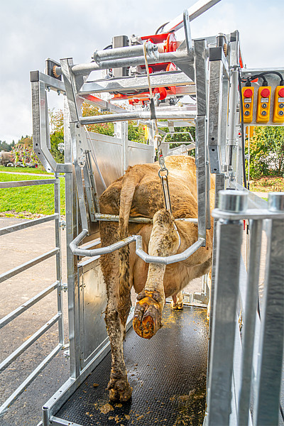 Staklės galvijams su kanopų priežiūra MARECHALLE PM 4600 - Image 5