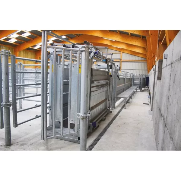 Veterinarinės staklės galvijams LVM PASDELOU - Image 6