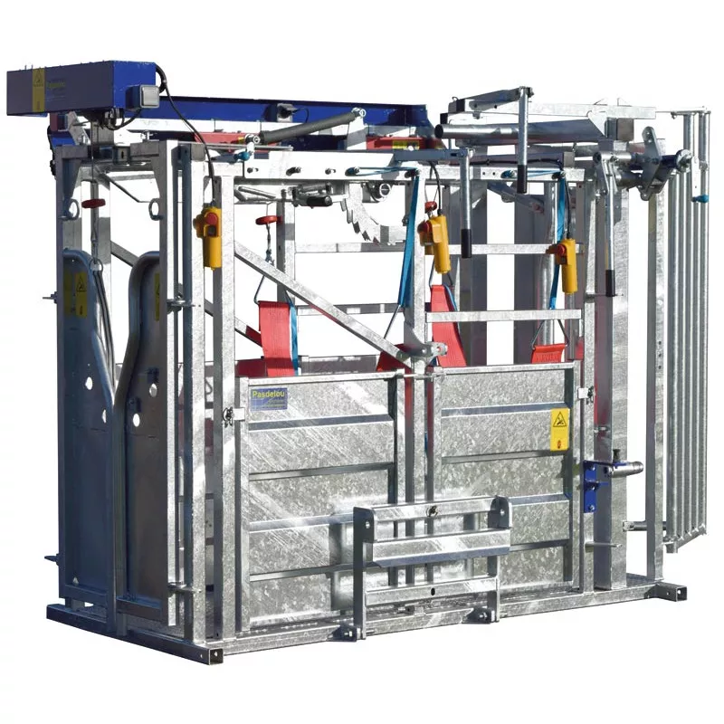 Veterinarinės staklės galvijams LFM PASDELOU - Image 7