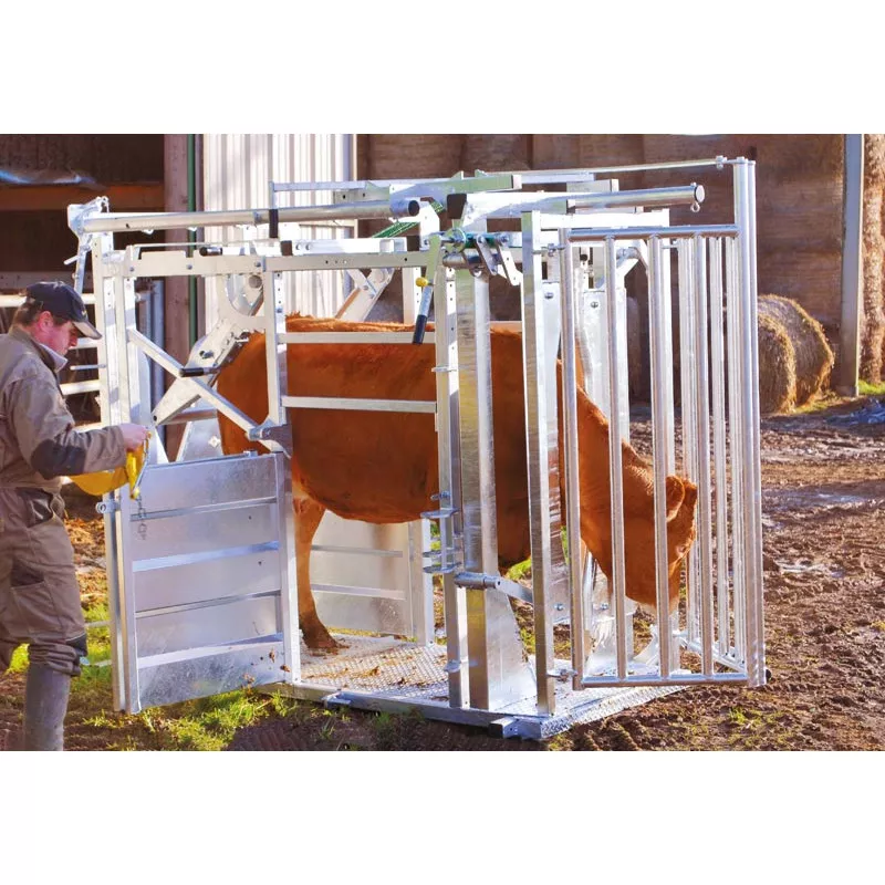 Veterinarinės staklės galvijams LFM PASDELOU - Image 9