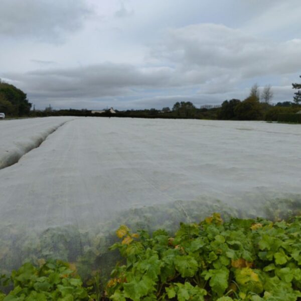 Tinklelis nuo vabzdžių