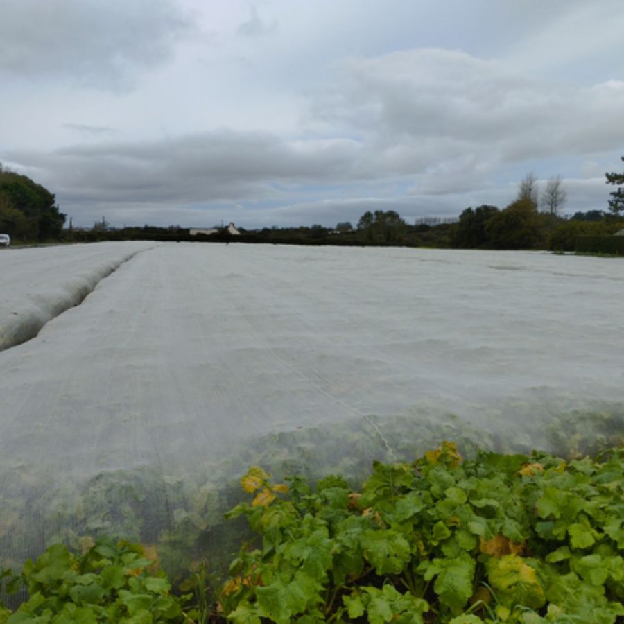 Tinklelis nuo vabzdžių